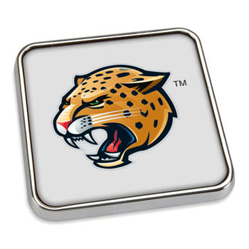 Silver-Tone Square Coaster